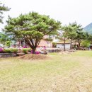 평창숲펜션 이미지