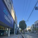 박명수가 다녀간 영진돼지국밥 남구청점 내돈내산 솔직후기