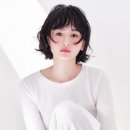 자이 헤어