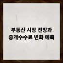 부동산중개나라 이미지