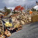 요기는캠핑장 이미지