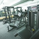 필라트니스 이미지