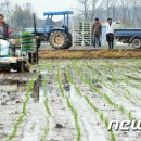 백운면 신규1 이미지