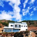 실안길314 네이버블로그