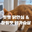 고양이 닭안심•닭가슴살 간식 추천 | 트릿 안 먹는 해리가 순삭한 핏펫 냥쌤 &amp; 하림 더 리얼 후기