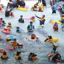 남선공원종합체육관 수영장 이미지