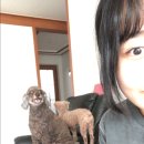 이엘가축약품병원 네이버블로그