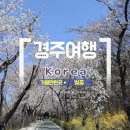 경주지지관광호텔 | 대구 근교 여행 경주 지지 호텔 숙소 추천 (조식, 벚꽃시즌)