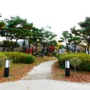 새천년생명의숲 이미지