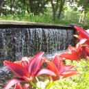 천천 공인중개사사무소 이미지