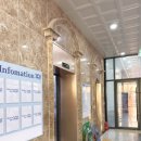 트렁크 | 시흥 거북섬 카페 블루트렁크 아메리카노 내돈내산 후기