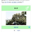 건천탕 이미지