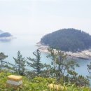 완도바다소리 이미지