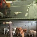 창구농장 이미지