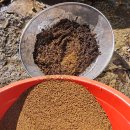 뼈에좋은 토사자// 통풍에 좋은 충영(개다래) 이미지