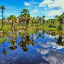 솔아농장 이미지