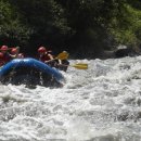 제18회 청주전국어린이합창경연대회 본선 | 2025 여름 휴가!! 가성비 갑 축제 총정리 2