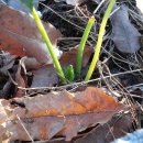 여주-0516 이미지