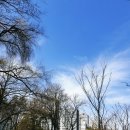 예실목장 이미지