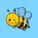 여울케이스