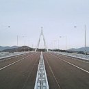 완도13호 이미지