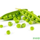 포낙보청기 부산서면센터 이미지