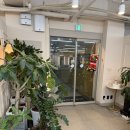 뽀송뽀송강아지미용실 | 범계미용실 염색 성공한 리얼후기