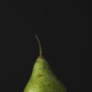 신체의 열매 이미지