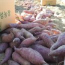 혜성농장 이미지