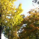 한가람고등학교 | 자사고 한가람고등학교 입학설명회 후기 ; 한가람고등학교 시설 및 전형일정