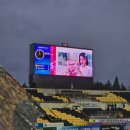 19 | 10/19 전남 vs 안산 후기 (발디비아 종신기원!!)