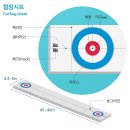 평창 동계올림픽 컬링(curling)경기 열풍 이미지