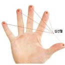 고려수지침 네이버블로그