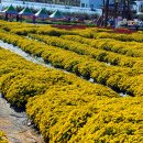 오늘은불고기 이미지