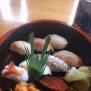 후지스시 Daum카페