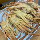 서민회식당 네이버블로그
