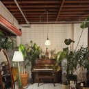 589 | 589coffee 전주 중화산동 카페 내돈내산 솔직후기