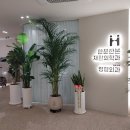 참재활의학과의원 | 성남이마트 근처 한분한본 재활의학과의원 방문후기
