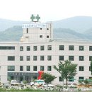 늘푸른요양병원 네이버블로그