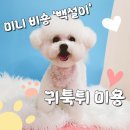 이쁘개 아름답개 이미지