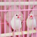 고려대역 이미지