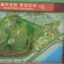 인천용현초등학교 Daum카페