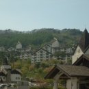 설천면044 Daum카페