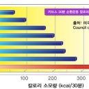 남진헬스 이미지