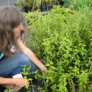 한세계농장 이미지