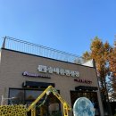 솔내음펜션C동 | 수원 솔내음 캠핑장 글램핑장 A-4 내돈내산 솔직후기