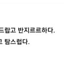 함으로 시작하는 단어를 검색하다가 이미지