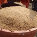 오늘도, 커피 이미지