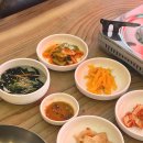 대덕식당 | 대전 베스트 맛집 대덕식당에서 닭내장탕 먹고 온 후기