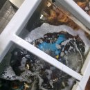 친구횟집 | 울산삼산횟집 맛집 추천 여자친구랑 대복횟집 코스요리 먹은 후기